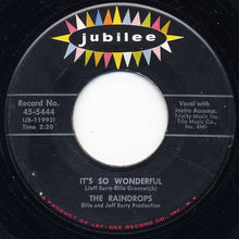 Load image into Gallery viewer, The Raindrops : What A Guy / It's So Wonderful (7", Single)