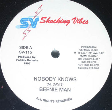 Beenie Man / The Shocking Vibes Crew : Nobody Knows (12