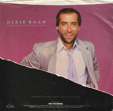 Load image into Gallery viewer, Lee Greenwood : Dixie Road (7", Single, Glo)