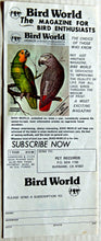 Load image into Gallery viewer, Unknown Artist : Train Your Bird To Talk (LP, Album)