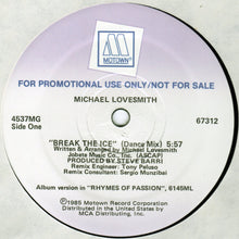 Load image into Gallery viewer, Michael Lovesmith : Break The Ice (12&quot;, Promo)