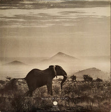 Load image into Gallery viewer, Elephants Memory : Elephant's Memory (LP, Album, Gat)