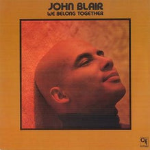 Load image into Gallery viewer, John Blair : We Belong Together (LP, Album, Promo)