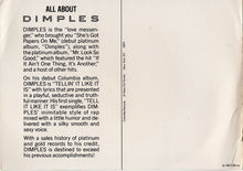 Load image into Gallery viewer, Richard 'Dimples' Fields : Tell It Like It Is (7", Promo)