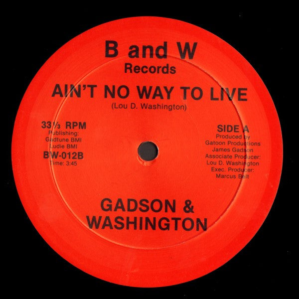 James Gadson & Lou Washington / Lou Washington : Ain't No Way To Live / Indian Village (12
