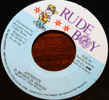 Load image into Gallery viewer, A.R.P. (2) : Fucking Game (7")
