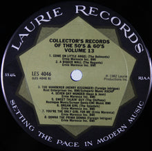 Load image into Gallery viewer, Various : Collector's Records Of The 50's And 60's Vol. 13 (LP, Comp, Club)