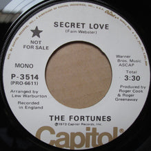 Load image into Gallery viewer, The Fortunes : Secret Love (7", Promo)