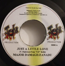 Load image into Gallery viewer, Zandu And Major Damage : Just A Little Love (7")