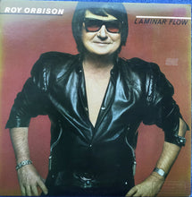 Load image into Gallery viewer, Roy Orbison : Laminar Flow (LP, Album, Promo)