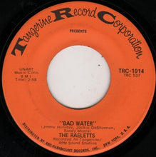 Load image into Gallery viewer, Raelets : Bad Water (7&quot;)