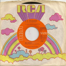 Load image into Gallery viewer, B.W. Stevenson : My Maria (7", Ind)