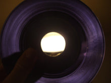 Load image into Gallery viewer, Tommy James : Say Please (7", Single, Promo)