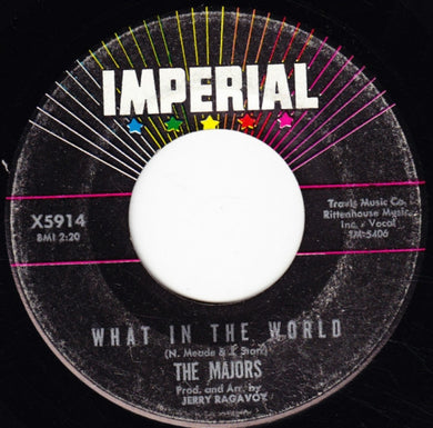 The Majors : What In The World / Anything You Can Do (7