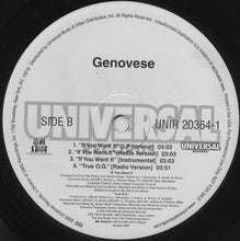 Load image into Gallery viewer, Genovesee : F**k Y&#39;all (12&quot;, Promo)