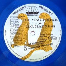 Load image into Gallery viewer, DJ Magic Mike &amp; MC Madness : Twenty Degrees Below Zero (12&quot;, EP, Promo, Blu)