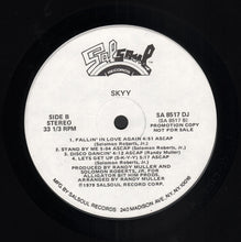 Load image into Gallery viewer, Skyy : Skyy (LP, Album, Promo)