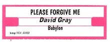 Load image into Gallery viewer, David Gray : Please Forgive Me (7")