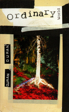 Duran Duran : Ordinary World (Cass, Single)