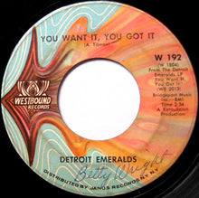 Load image into Gallery viewer, Detroit Emeralds : You Want It, You Got It / Till You Decide To Come Home (7&quot;, Single)