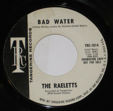 Load image into Gallery viewer, Raelets : Bad Water (7&quot;, Single, Promo, Styrene)