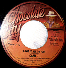 Load image into Gallery viewer, Cameo : Flirt (7&quot;, Styrene, 19 )