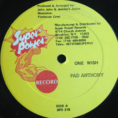 Pad Anthony, Chris Wayne, Tuffest : One Wish / Right Number (12