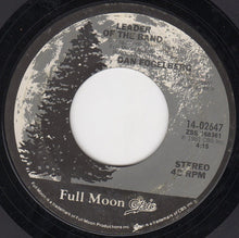 Load image into Gallery viewer, Dan Fogelberg : Leader Of The Band / Times Like These (7", Ter)
