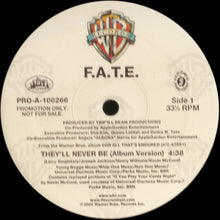 Load image into Gallery viewer, F.A.T.E. : They&#39;ll Never Be (12&quot;, Promo)