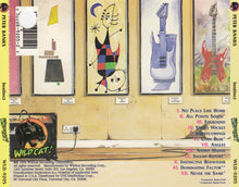 Load image into Gallery viewer, Peter Banks : Instinct (CD, Album)