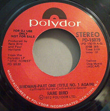 Load image into Gallery viewer, Rare Bird : Birdman - Part One (Title No. 1 Again) (7", Single, Mono, Promo)