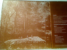 Load image into Gallery viewer, The John Cacavas Orchestra : Brown County Revisited (LP, Album)