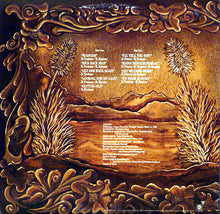 Load image into Gallery viewer, James Gang : Straight Shooter (LP, Album)