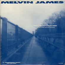 Load image into Gallery viewer, Melvin James : Why Won&#39;t You Stay (Come In, Come Out Of The Rain) (12&quot;, Promo)