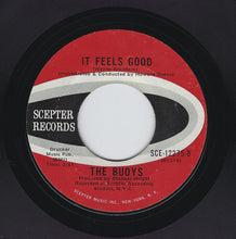 Load image into Gallery viewer, The Buoys : Timothy (7", Single)