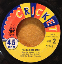 Load image into Gallery viewer, The Tinkertones / Sherry Sue : Bunny Hop  (7", Single)
