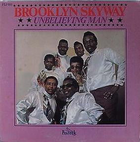 The Brooklyn Skyways : Unbelieving Man (LP, Album)