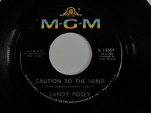 Load image into Gallery viewer, Sandy Posey : Born A Woman (7")