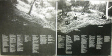 Load image into Gallery viewer, Earthquire : Earthquire (LP, Album, Gat)