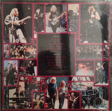 Load image into Gallery viewer, Hendrickson : Maestro (LP, Album)
