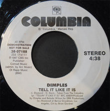 Load image into Gallery viewer, Richard 'Dimples' Fields : Tell It Like It Is (7", Promo)