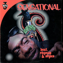 Load image into Gallery viewer, Sensational : Beat, Rhymes &amp; Styles (12&quot;, Single, Promo)