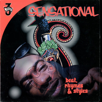 Sensational : Beat, Rhymes & Styles (12
