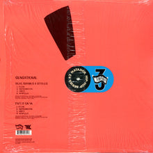 Load image into Gallery viewer, Sensational : Beat, Rhymes &amp; Styles (12&quot;, Single, Promo)