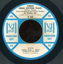 Load image into Gallery viewer, Themes Inc. : Paula's Percussion (7", Promo, Styrene)