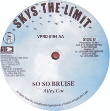 Load image into Gallery viewer, Merciless, Alley Cat (4) : Vocabulary High (12&quot;, EP)