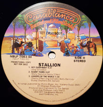 Load image into Gallery viewer, Stallion (2) : Hey Everybody (LP, Album, Promo)