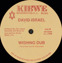 Load image into Gallery viewer, David Israel (4) : Wishing Well (12&quot;)