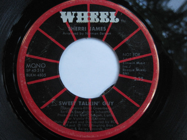 Sherri James : Sweet Talkin' Guy (7