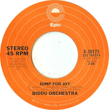 Load image into Gallery viewer, Biddu Orchestra : I Could Have Danced All Night (7", Single)